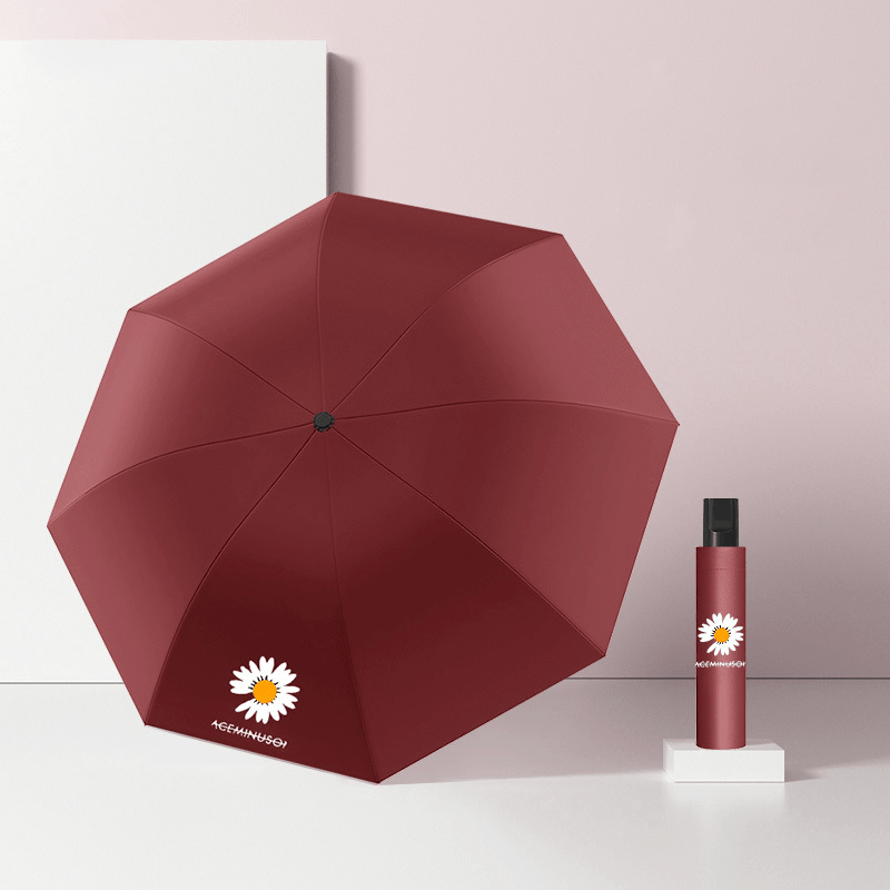 Daisy Shield Auto Umbrella
