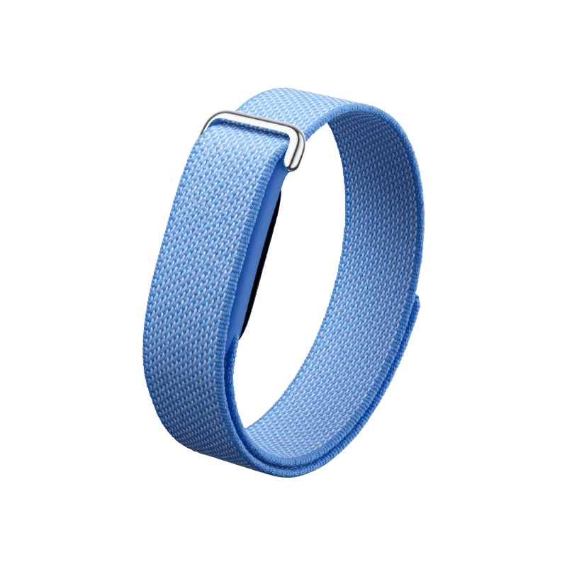 Google Fitbit Air