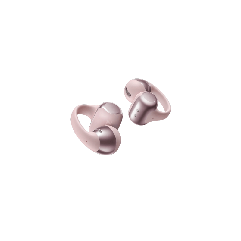 Shokz OpenDots One Earbuds