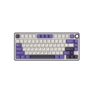 Royal Kludge RK R75 RGB Hot-Swappable Mechanical Keyboard
