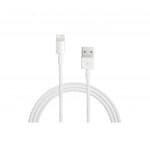 Apple Lightning to USB Cable - 1m