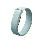 Google Fitbit Air