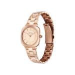 Titan Horizon 95296WM01 Quartz Analog Stainless Steel Women’s Watch